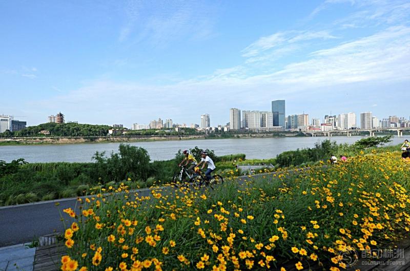 石峰公园樱花园 我们在 栗雨湖畔享受慢时光 将风景看透后 湘江风光带